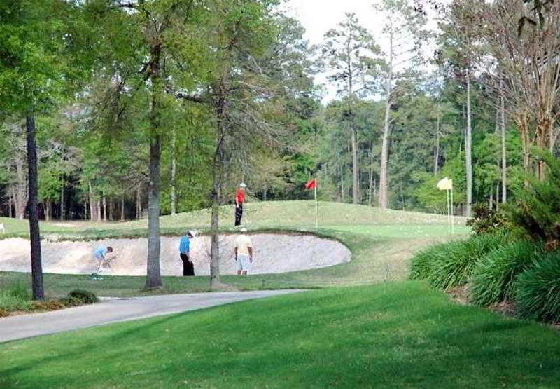 Heritage Place Houston Brookhollow Instalações foto